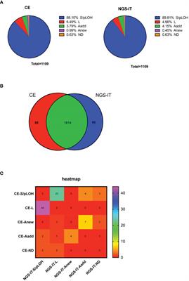 Opportunity of Next-Generation Sequencing-Based Short Tandem Repeat System for Tumor Source Identification